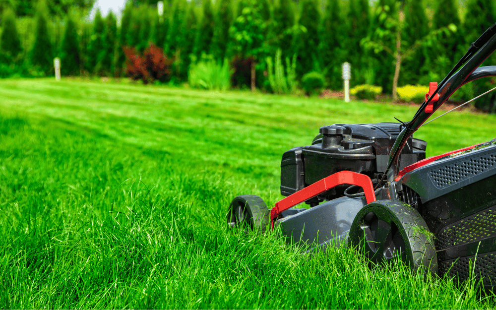 How to Sell Your Property Faster 1 Blog 