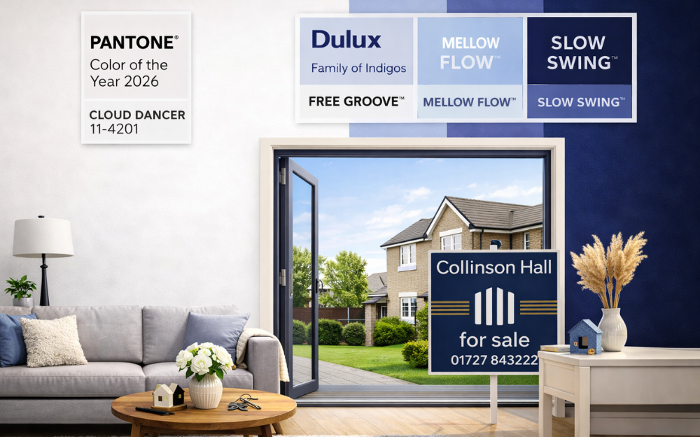 Pantone Colour of Year 2026 Blog post